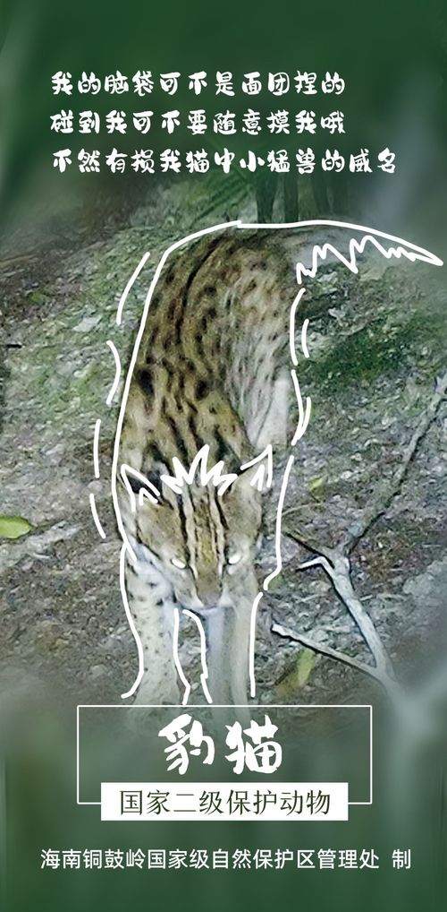 國(guó)際生物多樣性日聚焦銅鼓嶺 國(guó)家二級(jí)保護(hù)動(dòng)植物的醫(yī)藥技術(shù)開發(fā)潛力