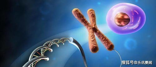 基因組垃圾場中的進化密鑰 科學家發(fā)現(xiàn)隱藏的重要基因